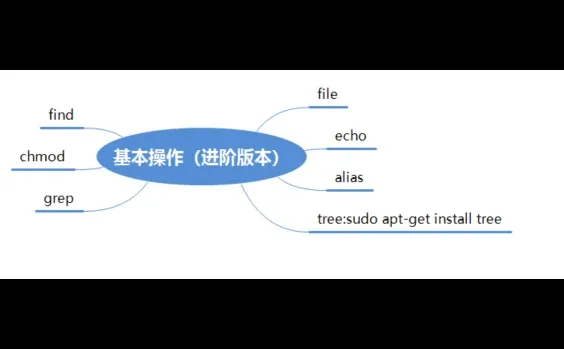 Linux基本操作（小白可看）
