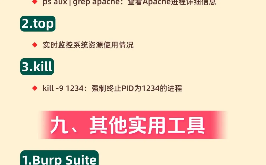 黑客都在背着你用的200个Kali linux命令符