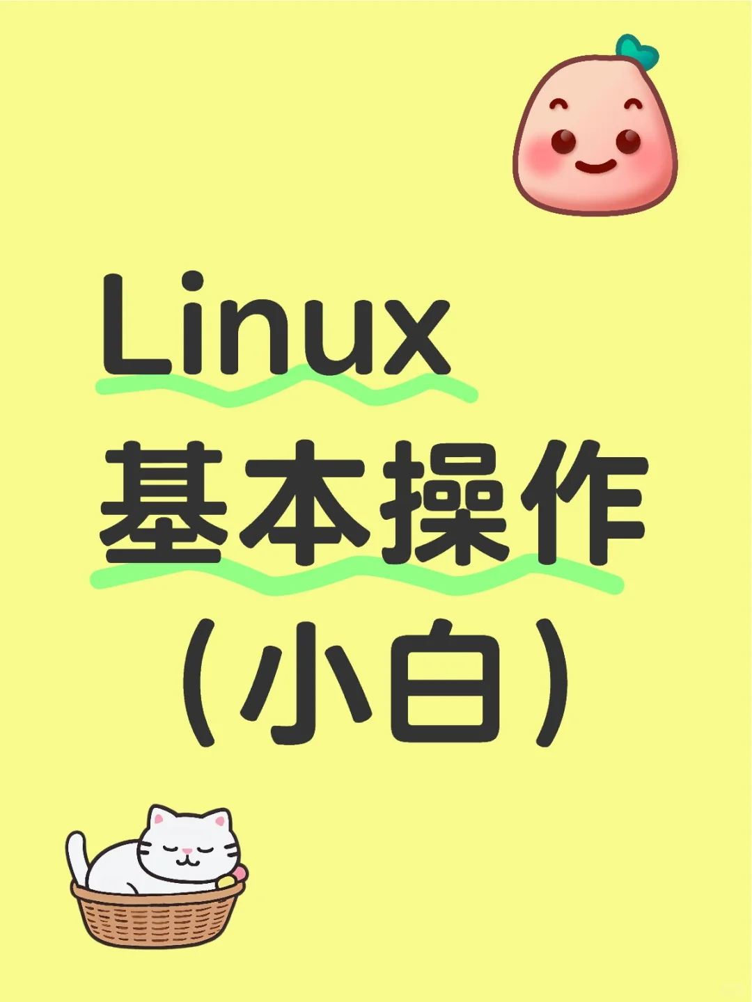 Linux基本操作（小白可看）