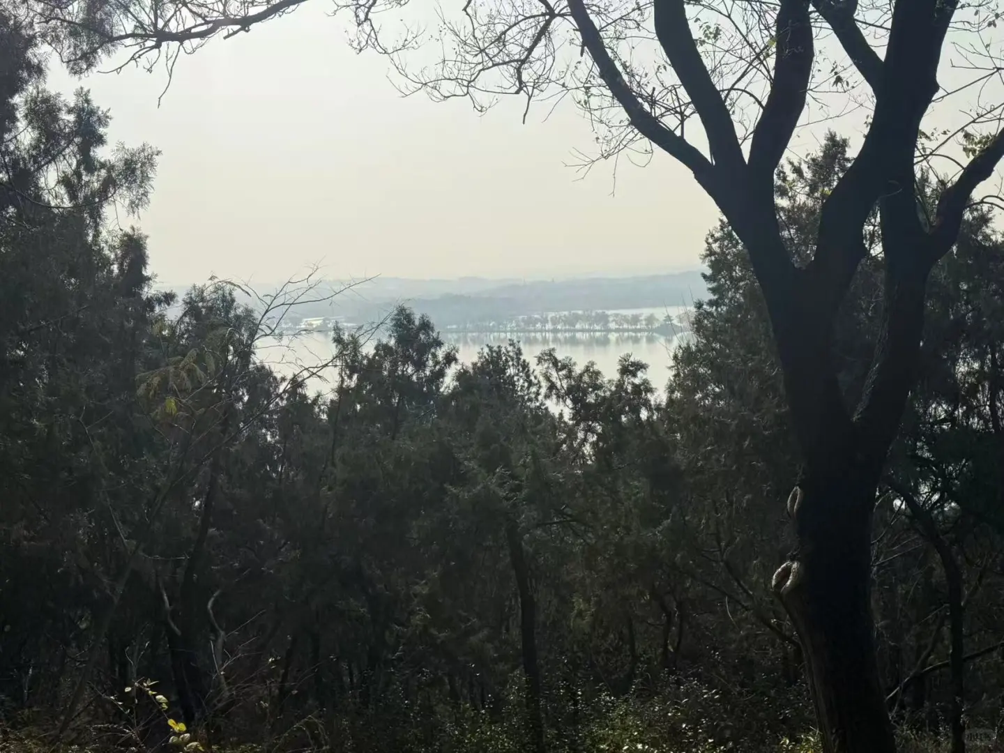 #云计算运维#云计算培训#转行it#linux培训