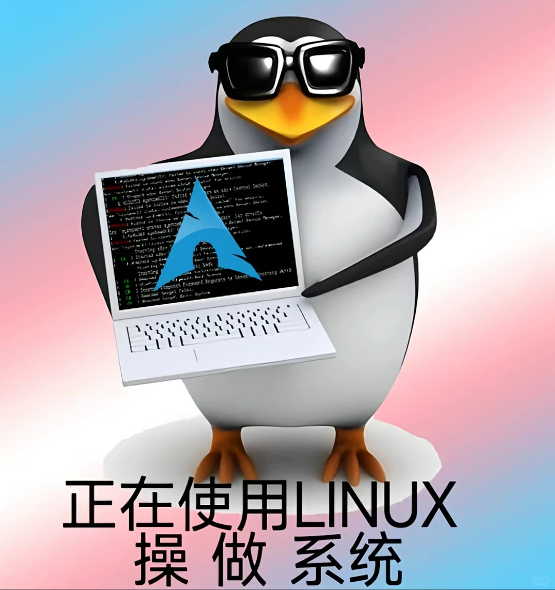 Linux代做