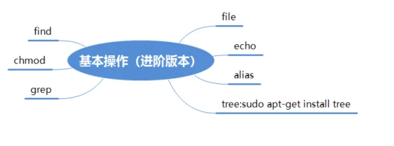 Linux基本操作（小白可看）