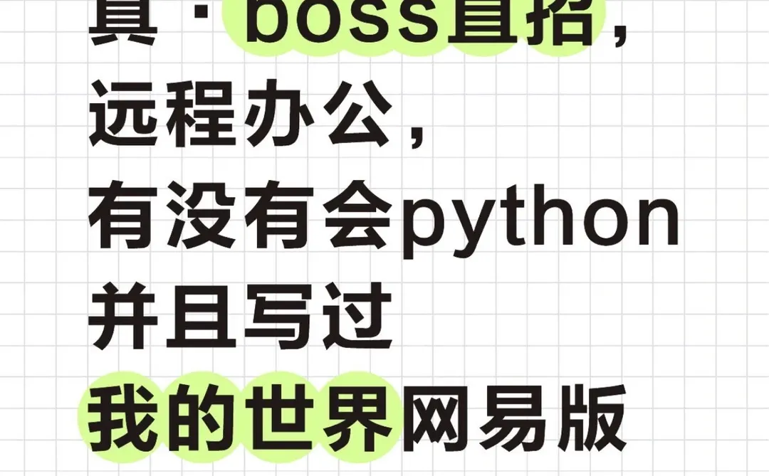 线上公司，python开发x我的世界