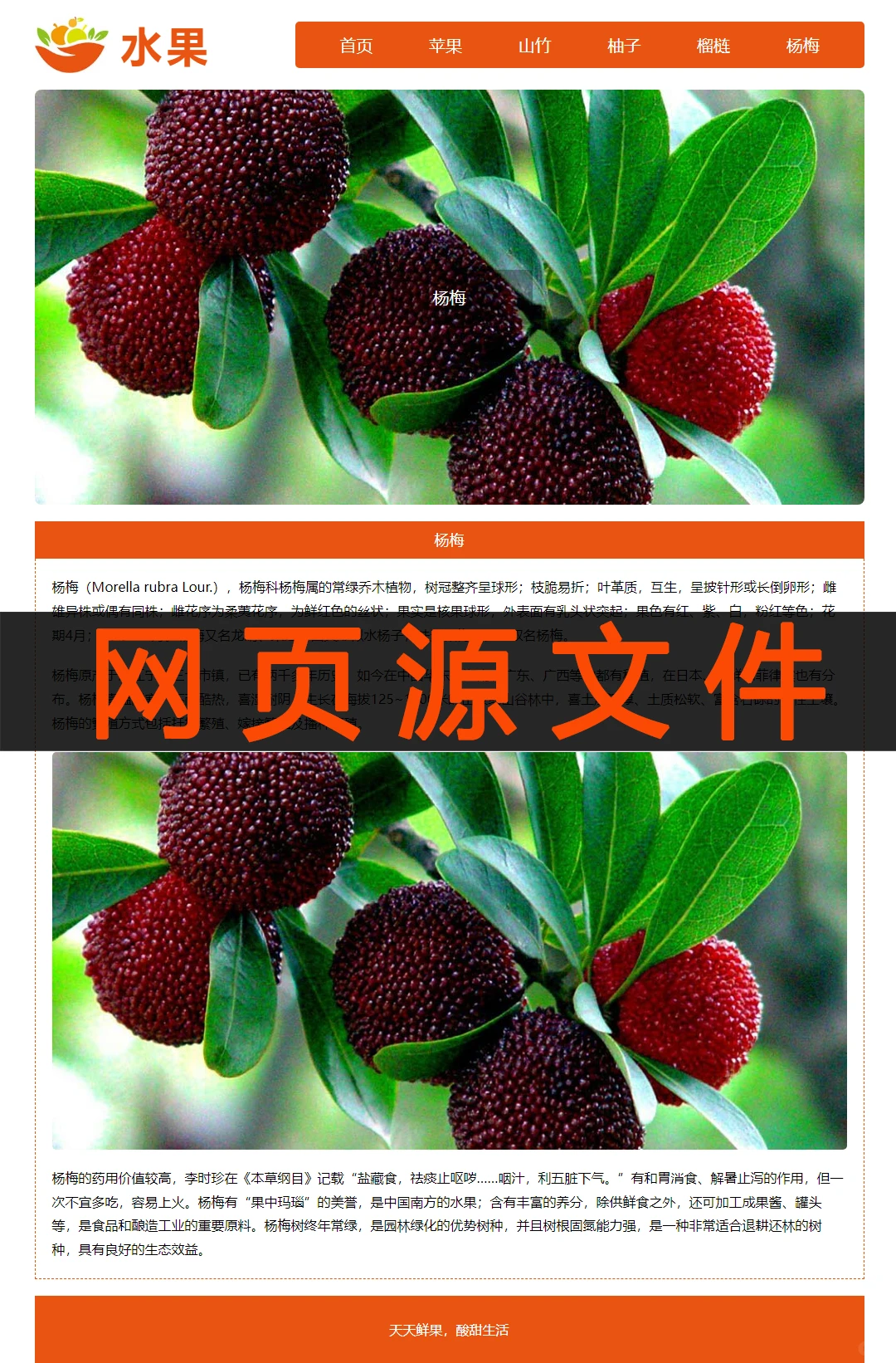 水果html网页设计制作模板网页源代码网页