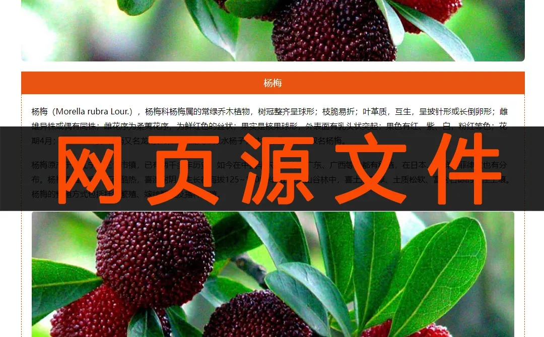 水果html网页设计制作模板网页源代码网页