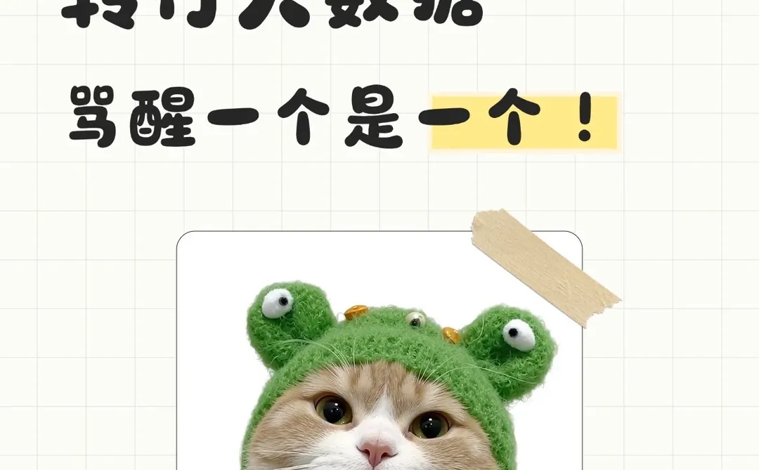 被骗了🥹转行大数据📈骂醒一个是一个！！