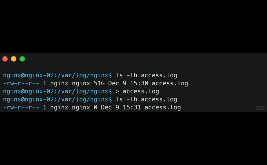 新人想用 rm -rf释放磁盘空间，被我拦下了 ✋