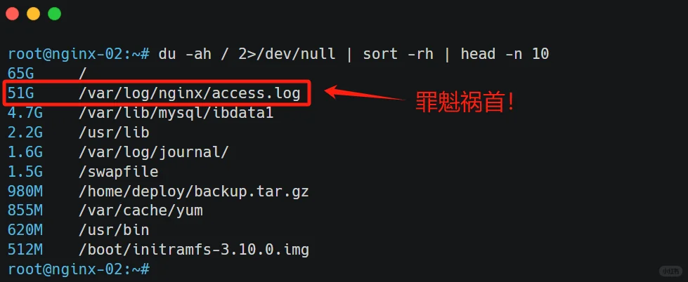 新人想用 rm -rf释放磁盘空间，被我拦下了 ✋