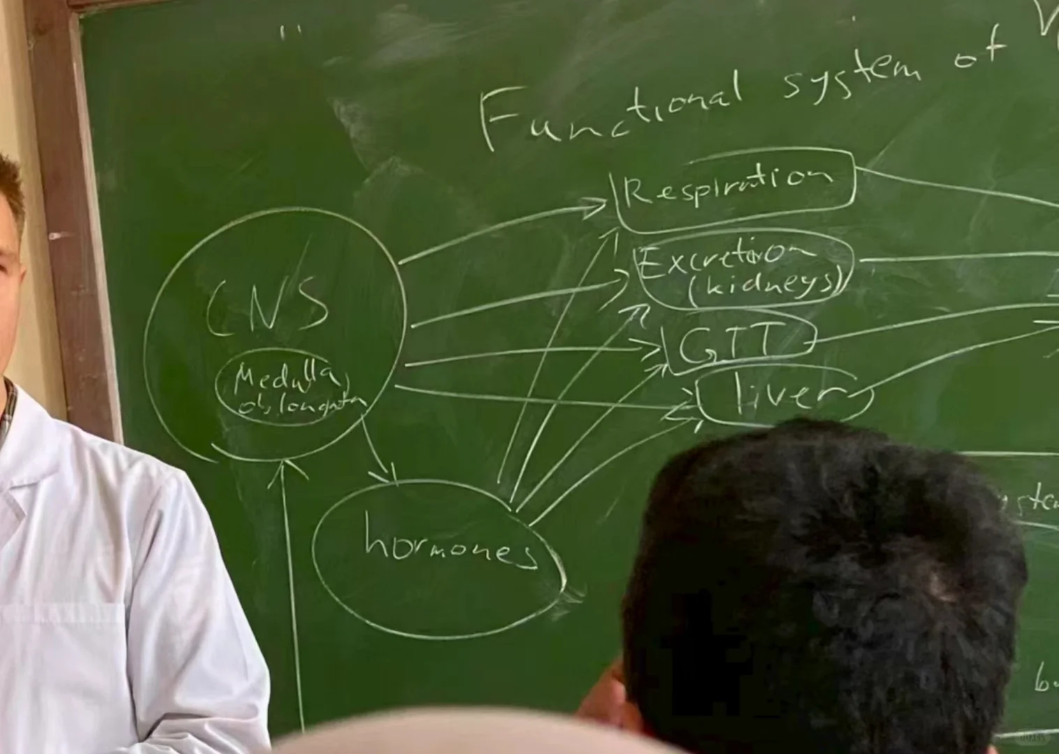 用编程思维学临床：我建造了“腹痛”诊断决