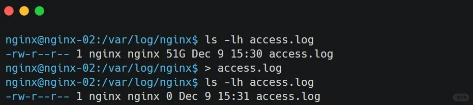 新人想用 rm -rf释放磁盘空间，被我拦下了 ✋