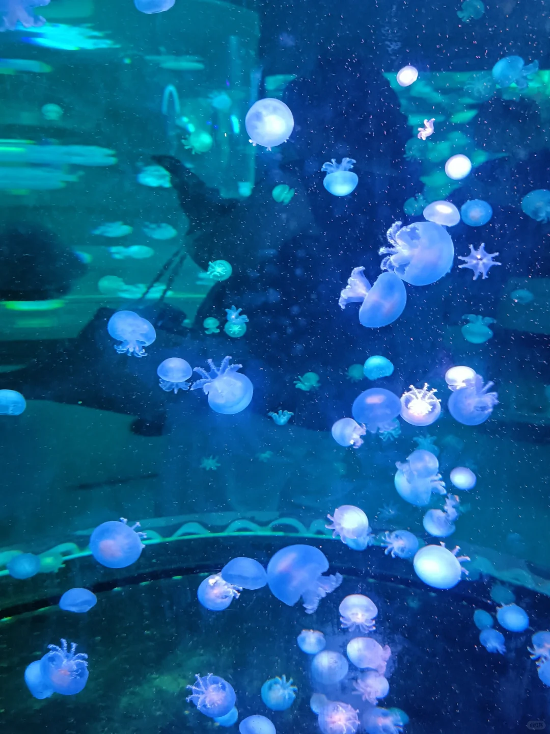 学中医的“底层代码”：阳化气，阴成形