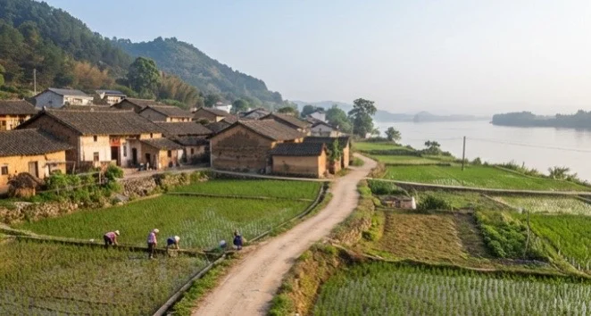 代码之外的诗行