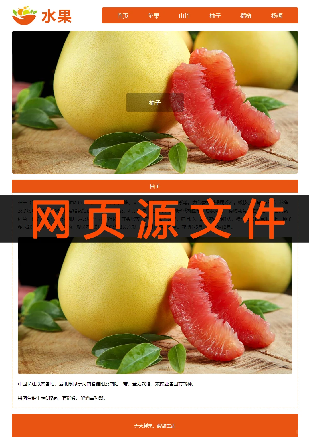 水果html网页设计制作模板网页源代码网页