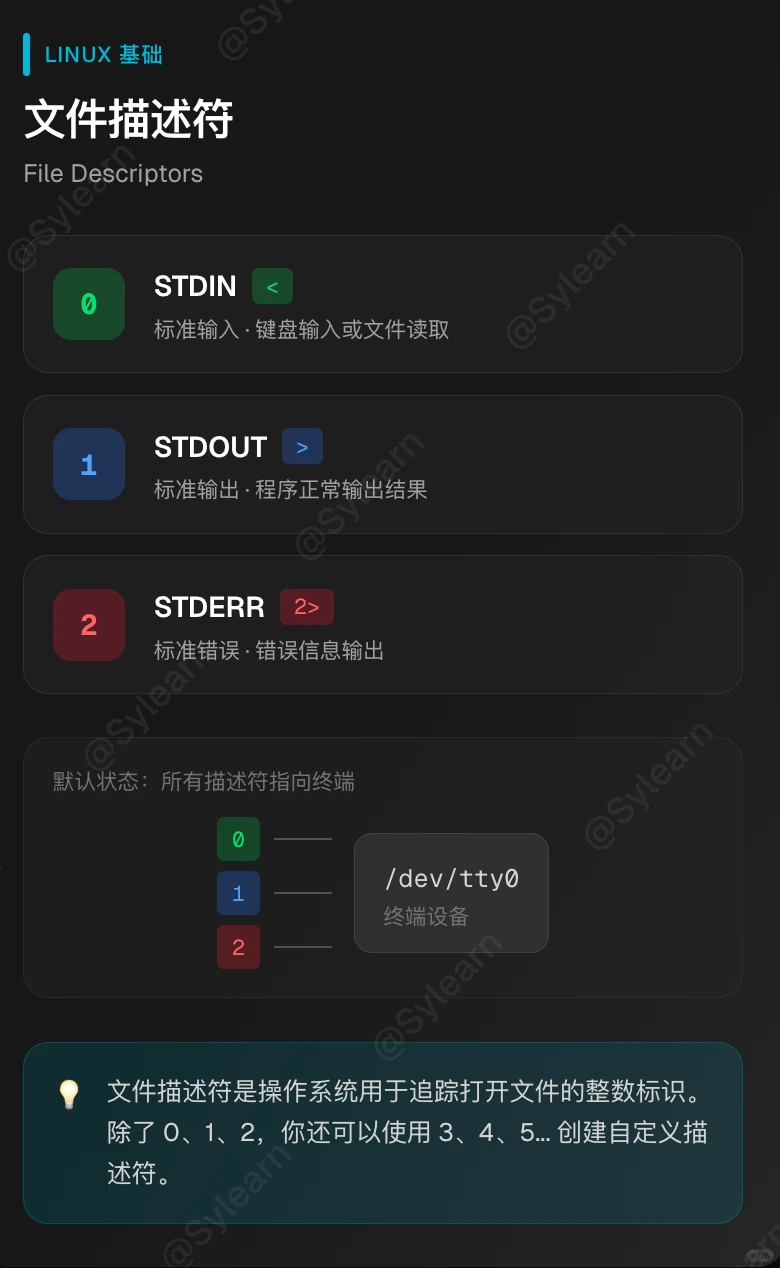 Linux重定向 | 终端输出控制术