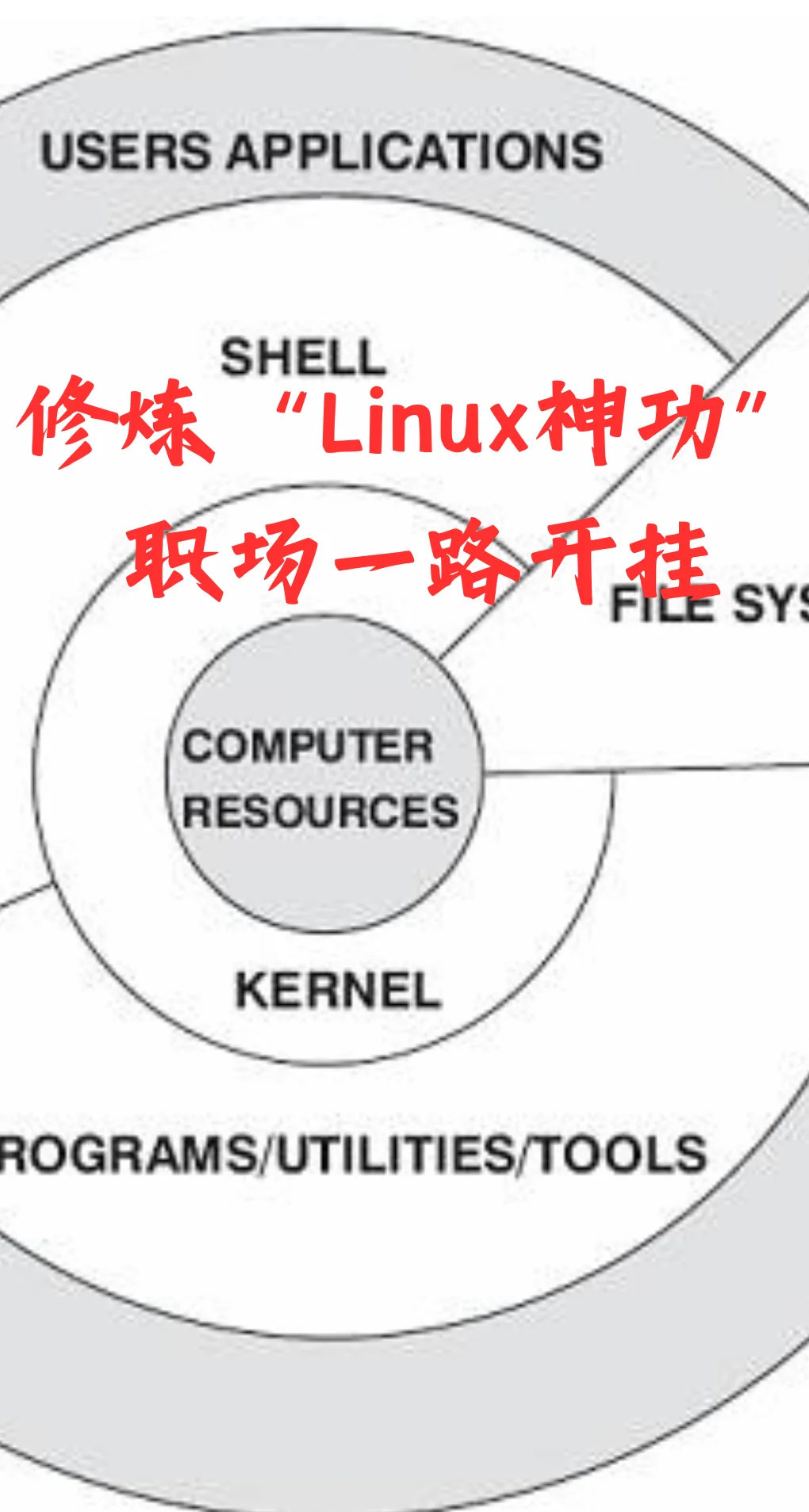 嵌入式开发玩转Linux，项目直接加速