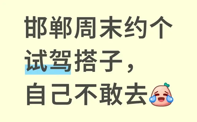 邯郸周末约个试驾搭子，自己不敢去 试驾