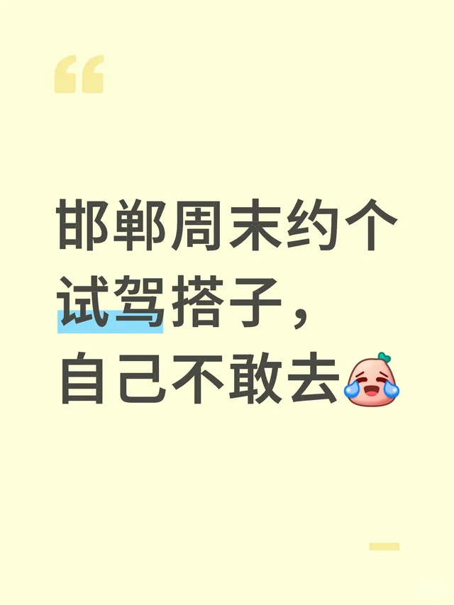 邯郸周末约个试驾搭子，自己不敢去 试驾