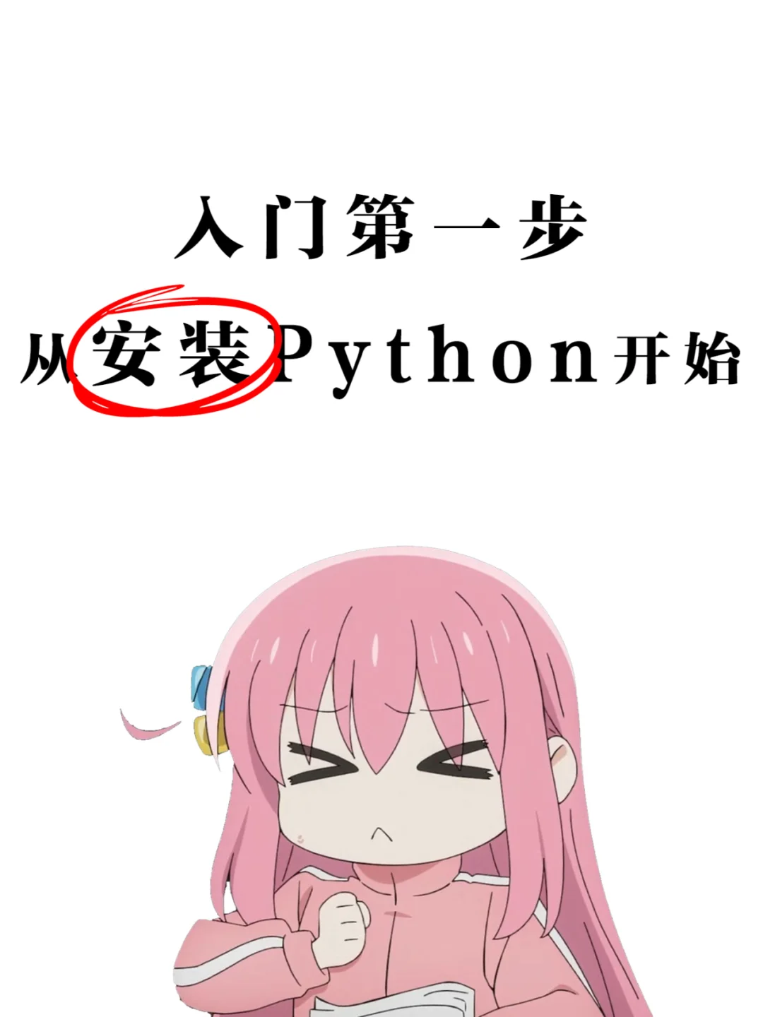 Python下载安装全攻略：轻松上手编程❗