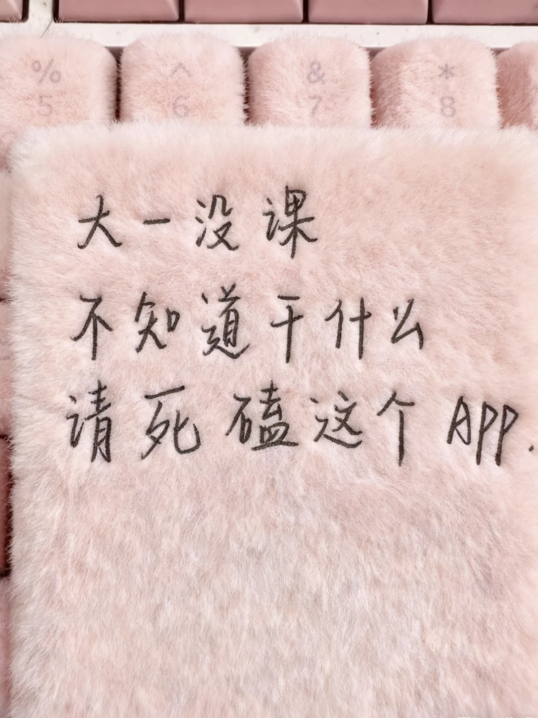 到底是谁在用大一没课这个App！