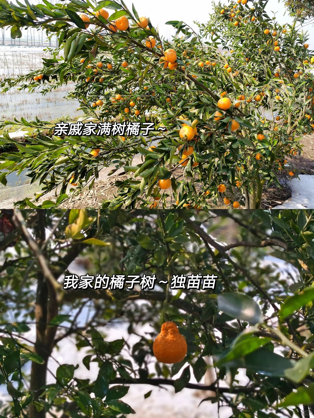 英专生自救：英语+什么技能=王炸？