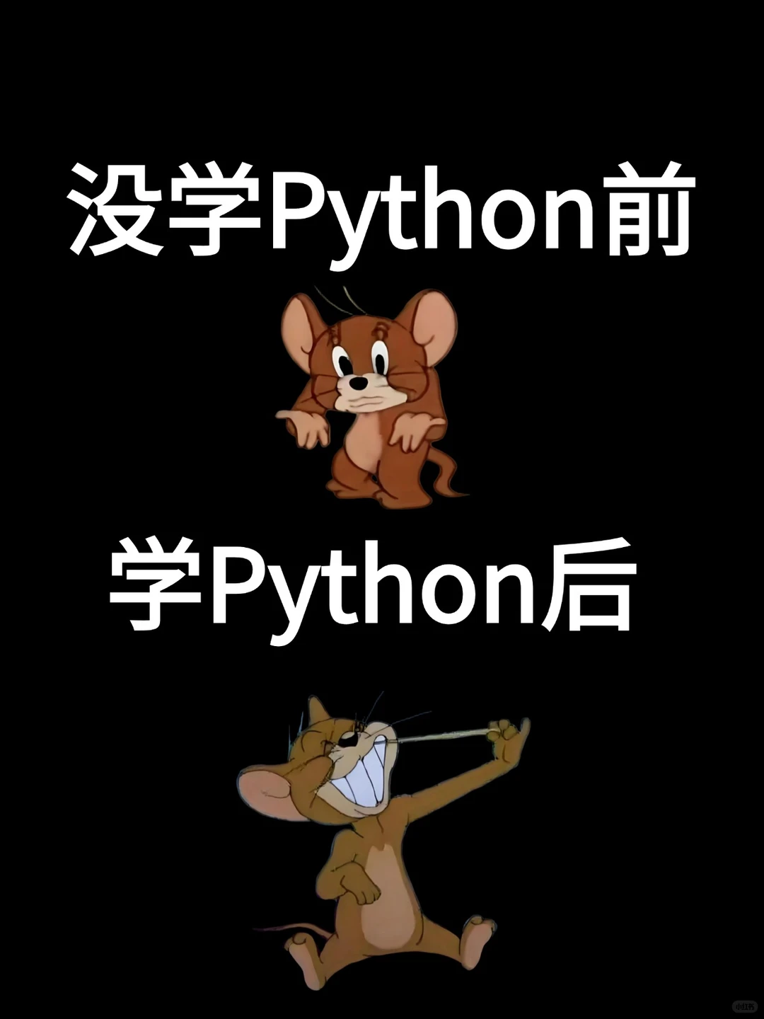 终于有人把自学Python的，正确顺序讲清楚了