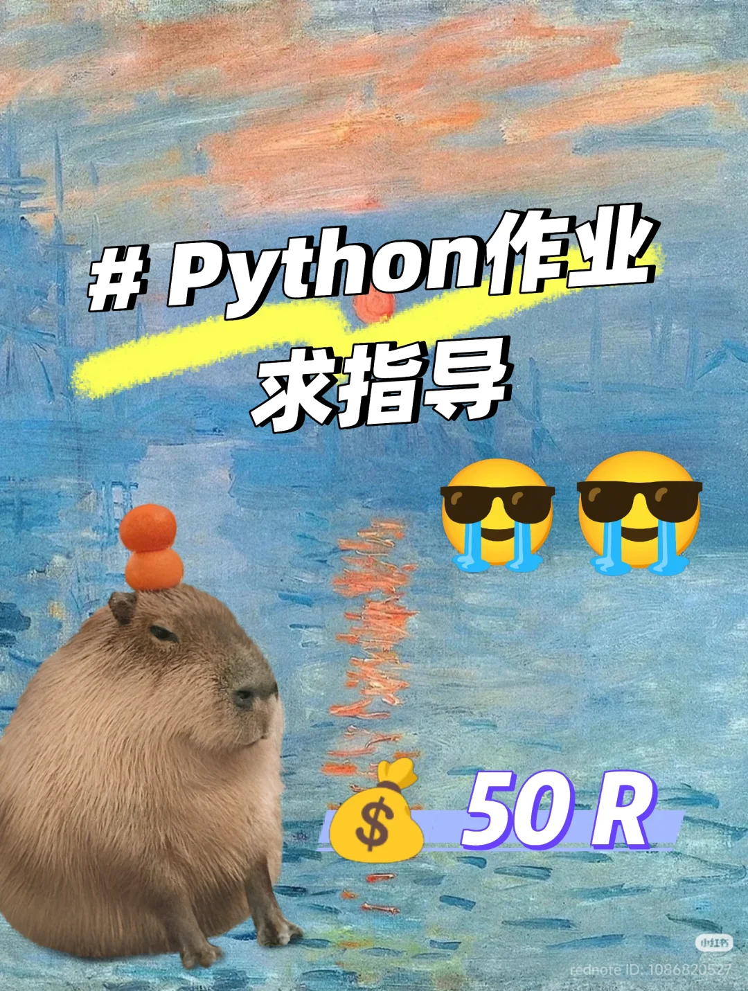Python作业求指导😭