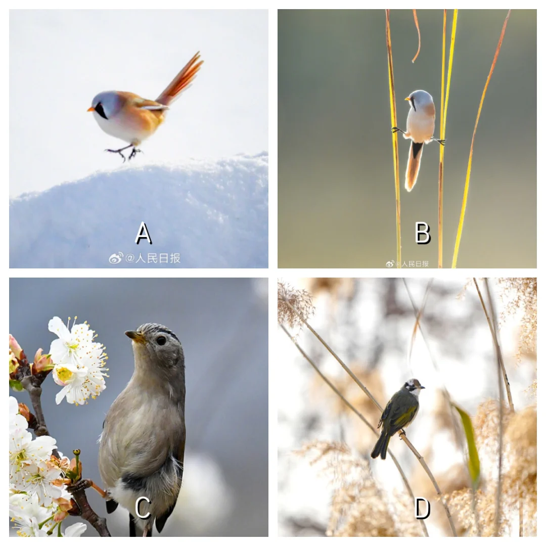 🌸该不该主动提加薪/跳槽?答案