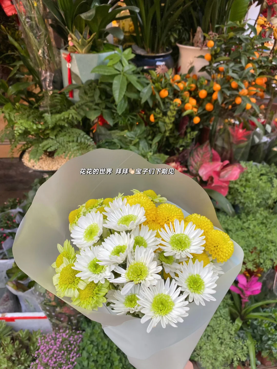 招聘冷知识：年底才是跳槽涨薪的最佳时机