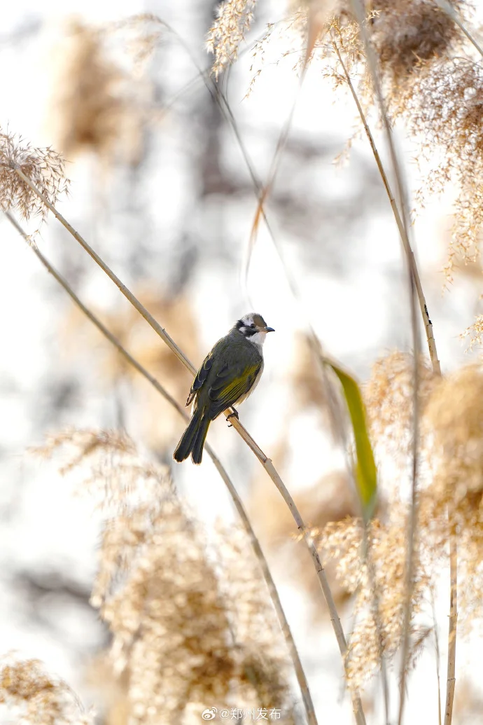 🌸该不该主动提加薪/跳槽?答案