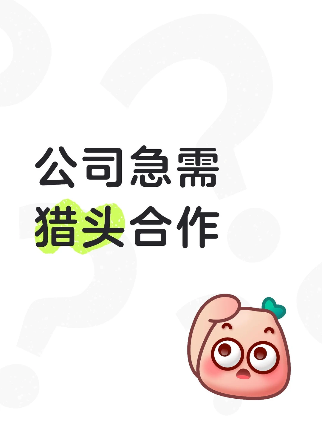 招聘量巨大，寻猎头友方合作