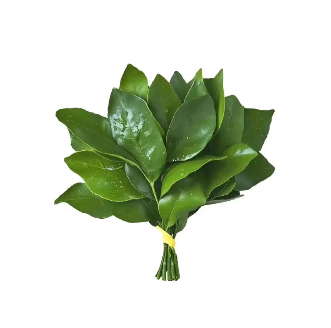 soho猎头们11月业绩如何？