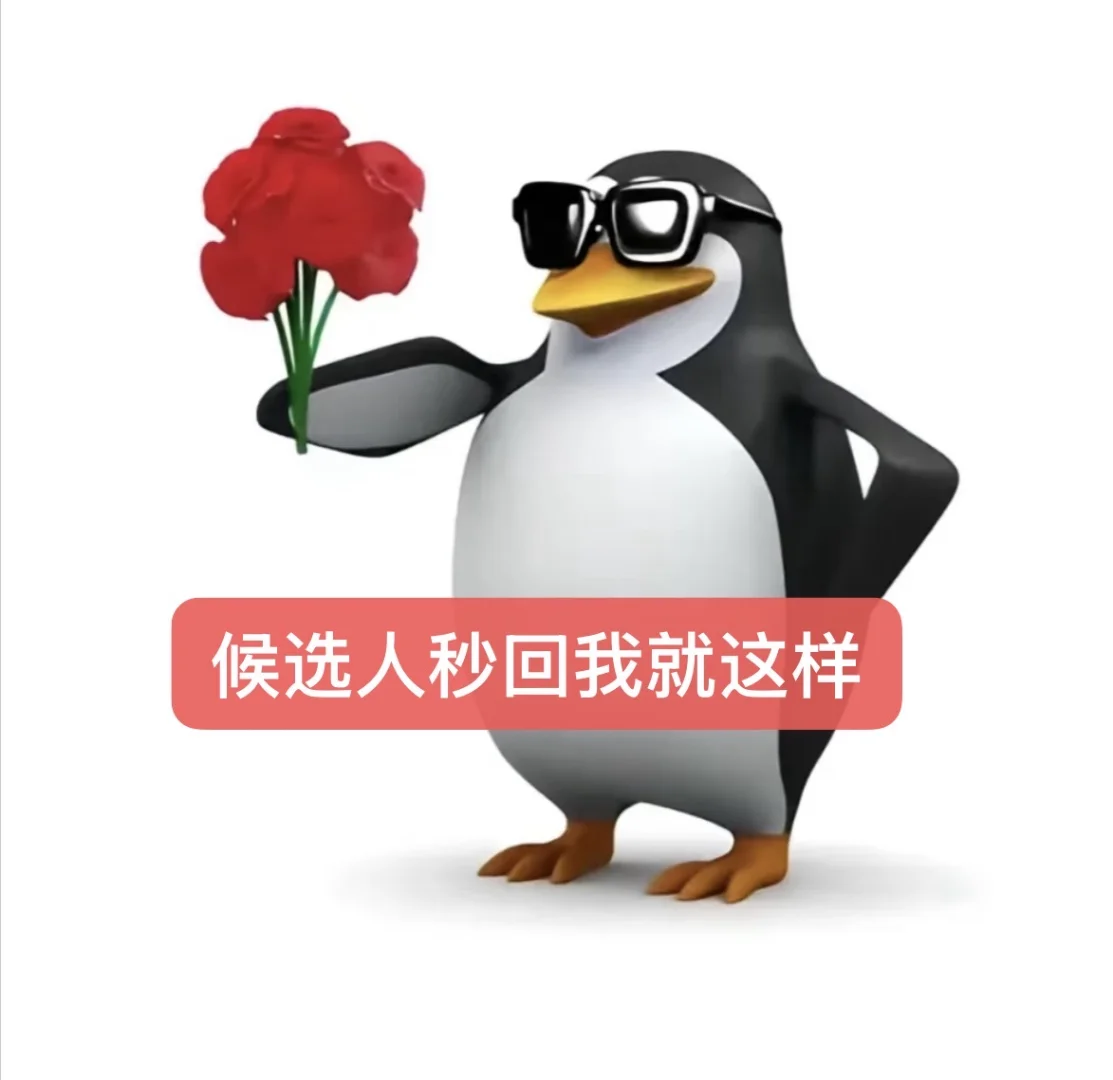 高雅人士（猎头实习版