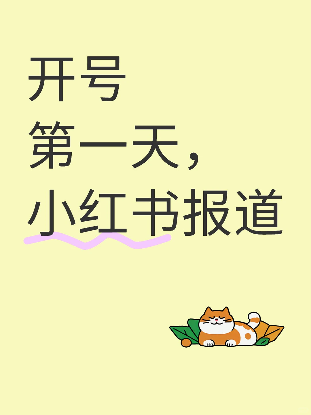 开号第一天,小红书报道