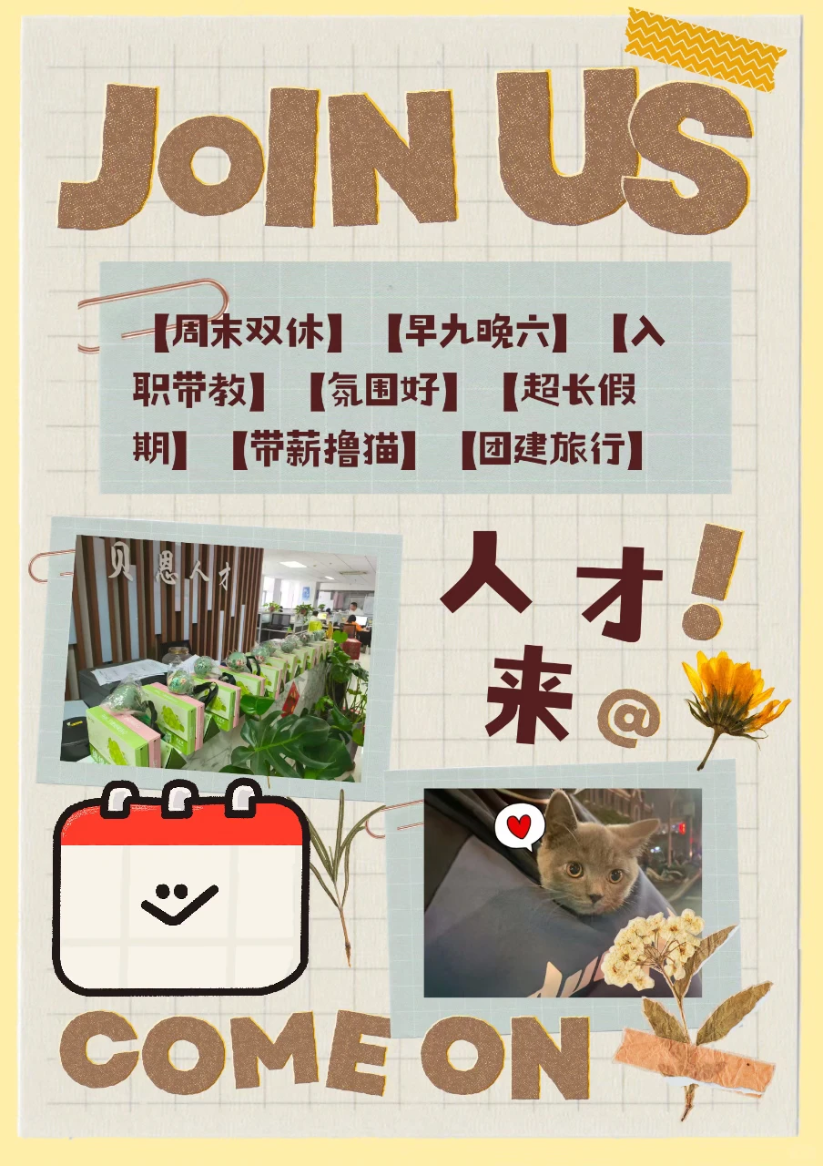 周末双休猎头顾问