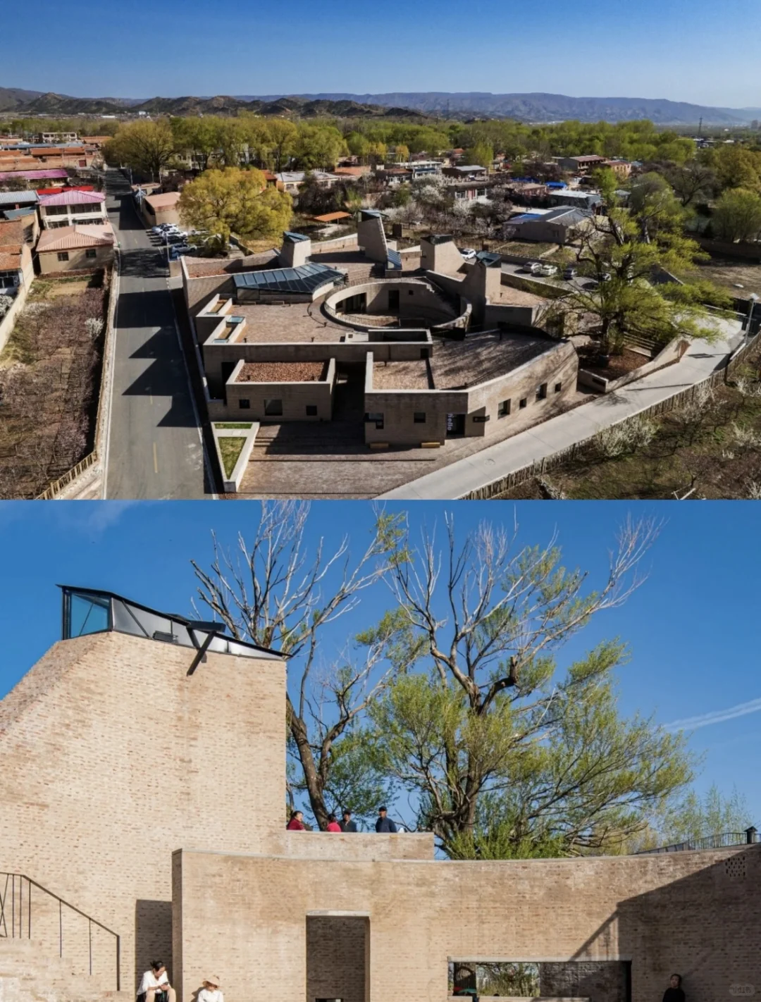 院士加冕！张鹏举教授再添荣誉🏆