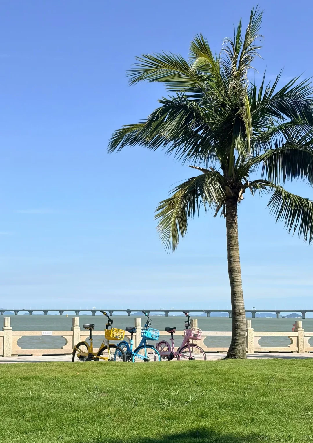 plog｜分享跳槽秘籍，助你拿到心动offer！