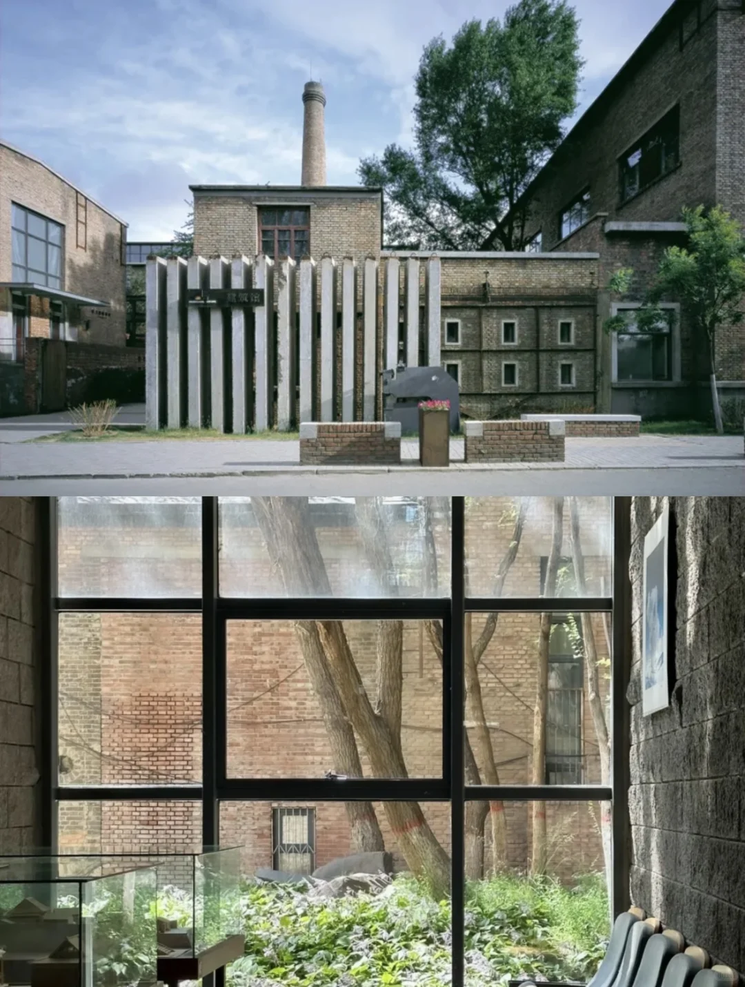 院士加冕！张鹏举教授再添荣誉🏆