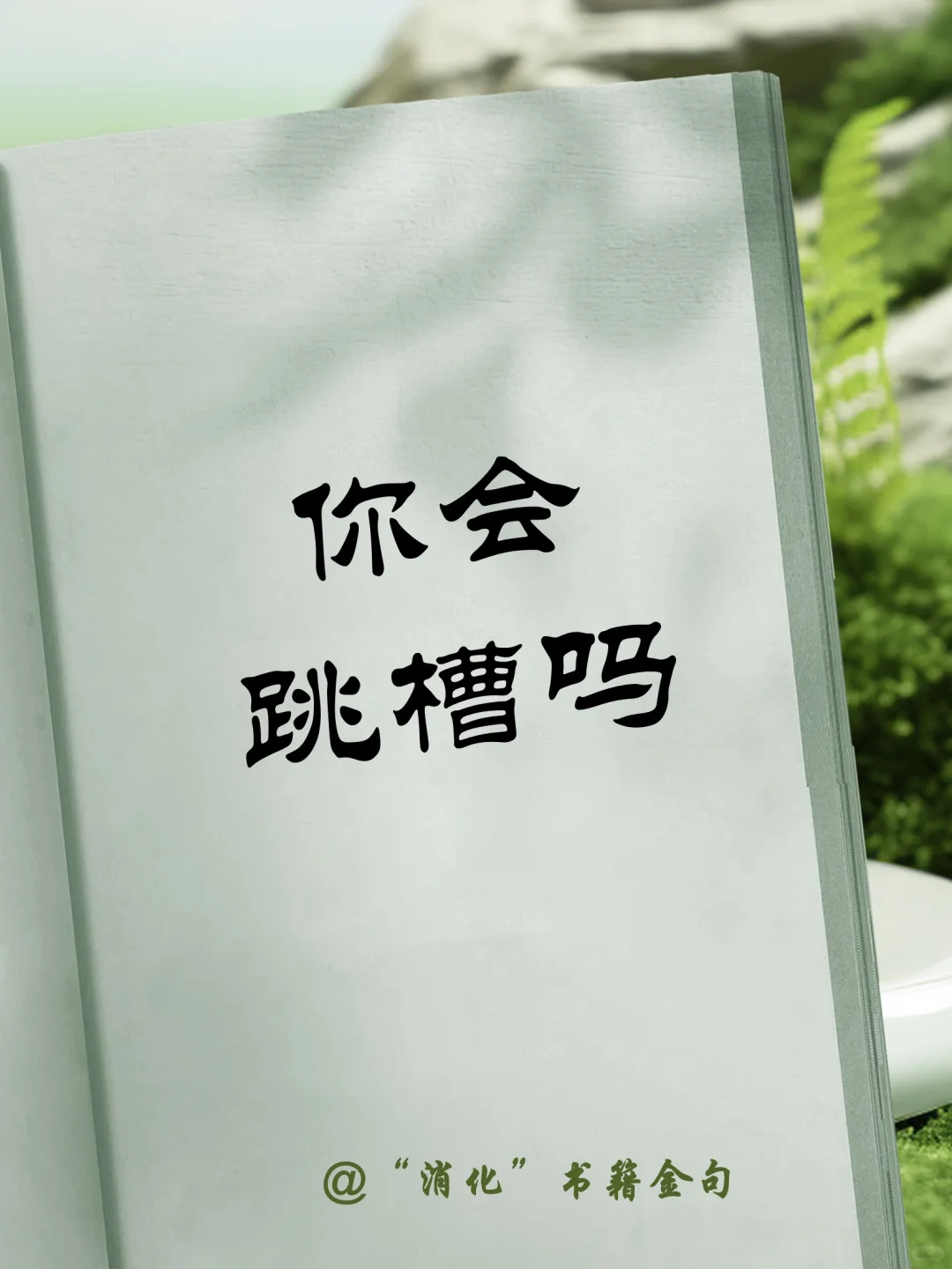 “消化”书籍金句-跳槽