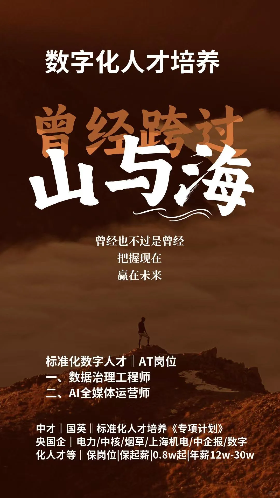 数字化标准人才岗位