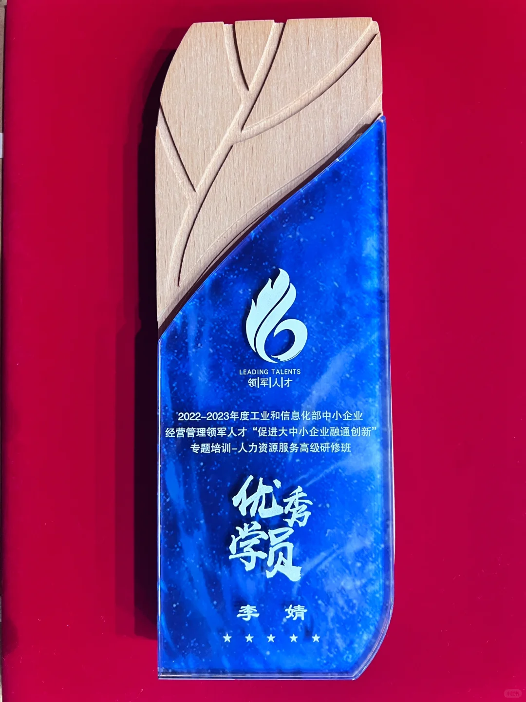 入库国家领军人才和人力资源服务专家库了