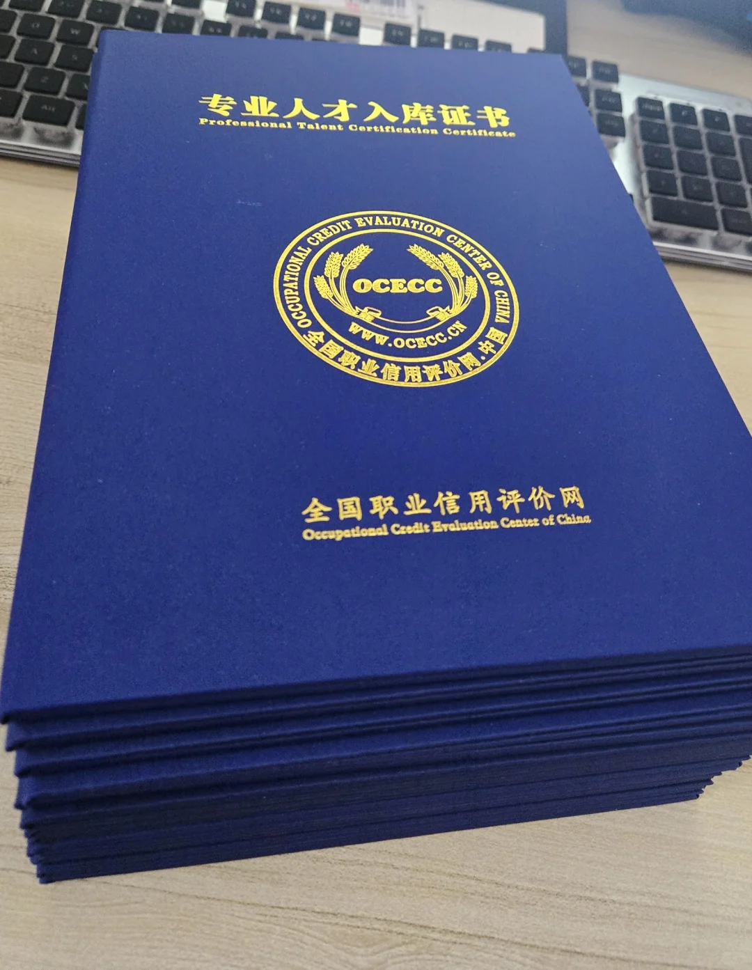 选择大于努力，顺利拿下专业人才入库证书!