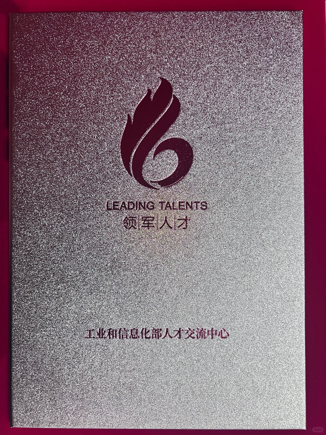 入库国家领军人才和人力资源服务专家库了