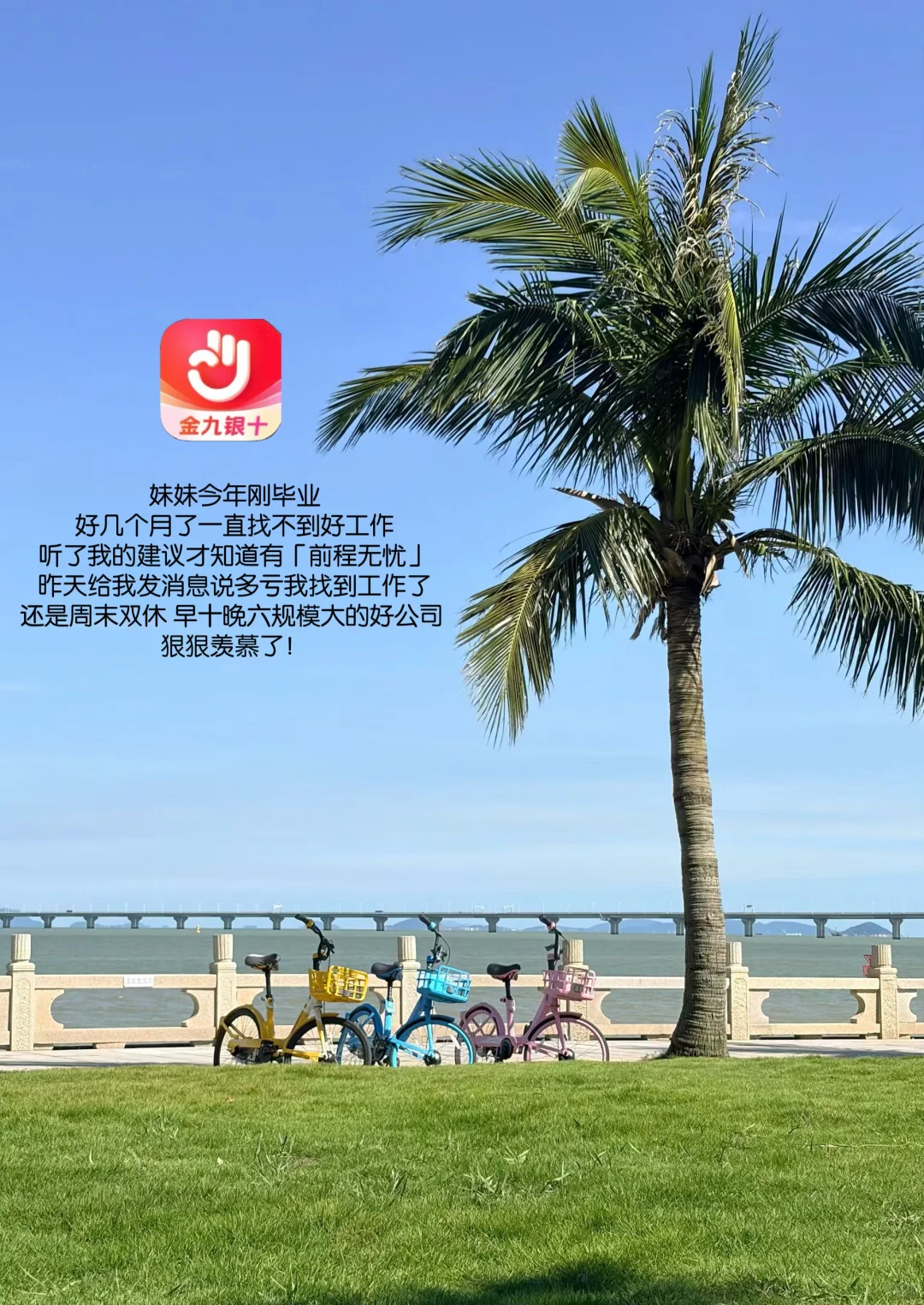 plog｜分享跳槽秘籍，助你拿到心动offer！