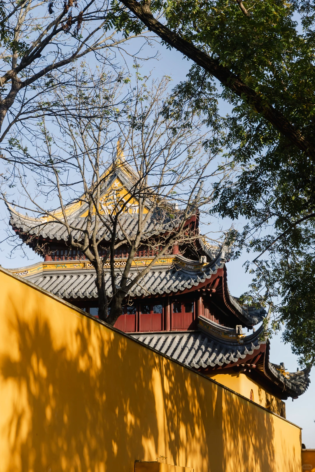 凯乐石签约自费运动员