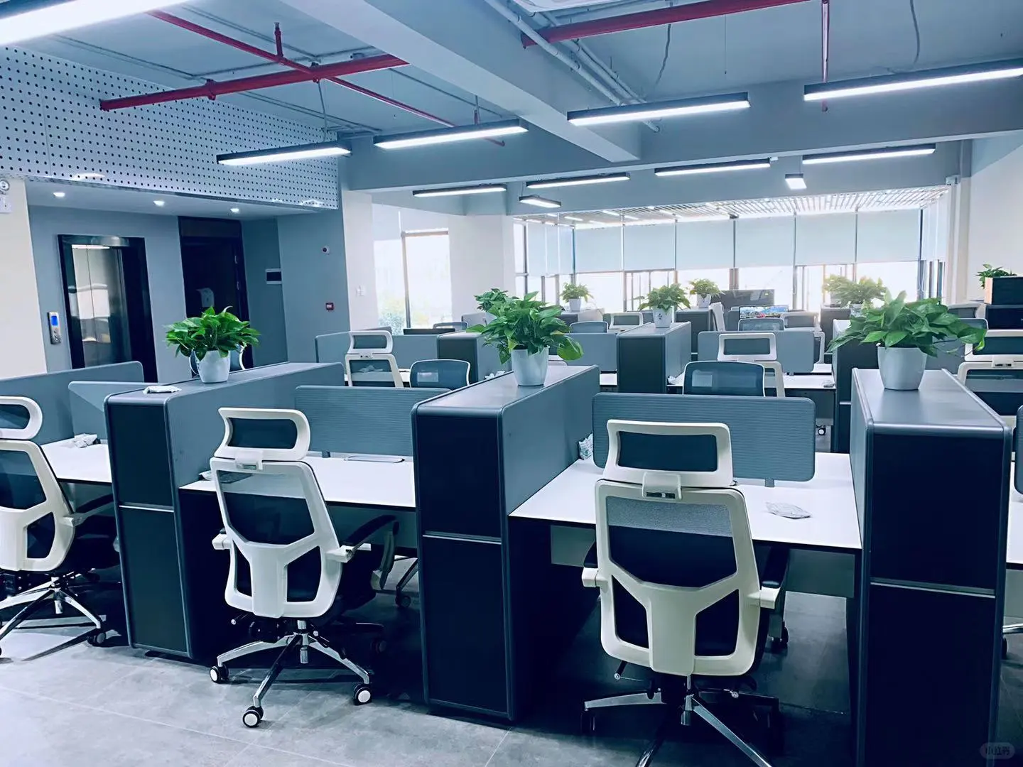 官宣|急招人事招聘专员