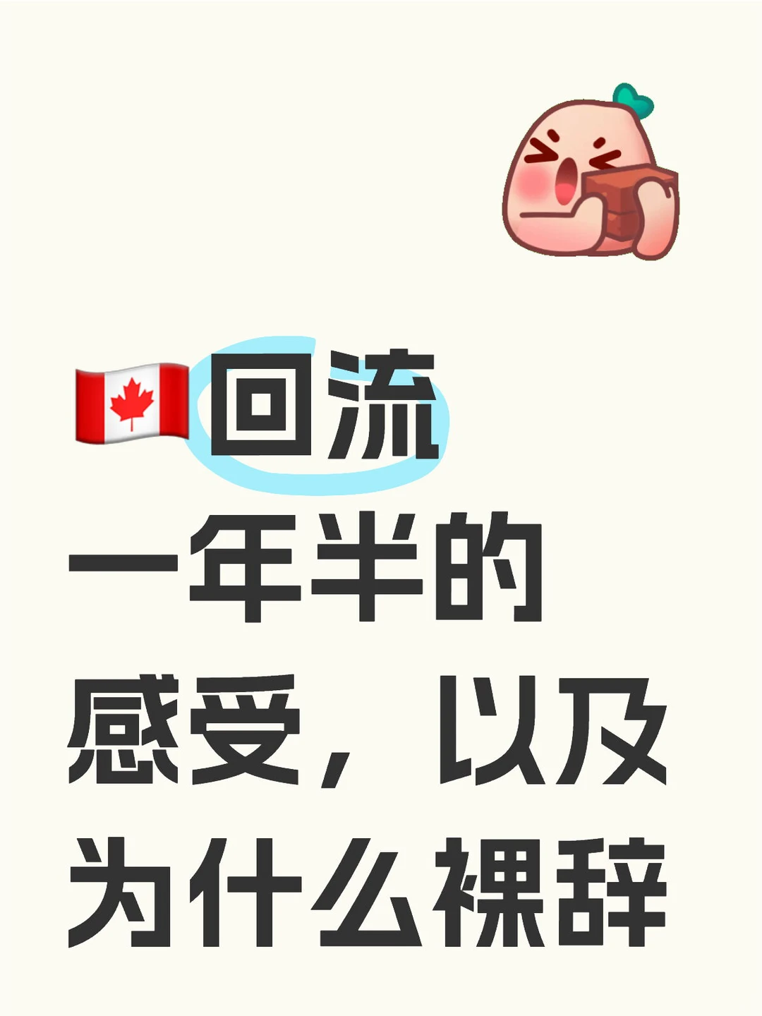 回流一年半的感受，以及为什么裸辞