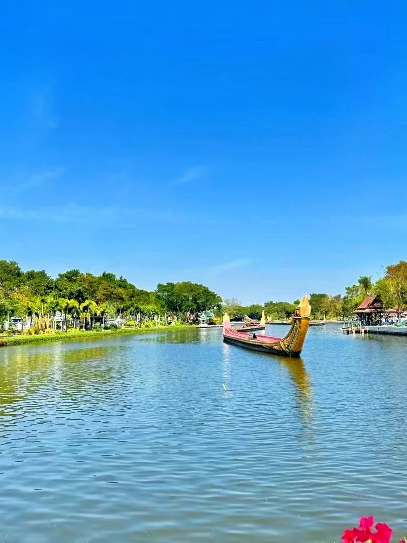 去年挣了600w：不要每天都在研究怎么赚钱