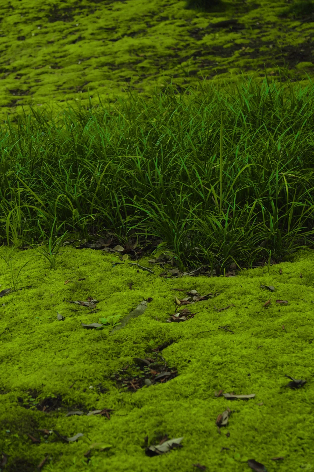 做了猎头后越来越相信人各有命