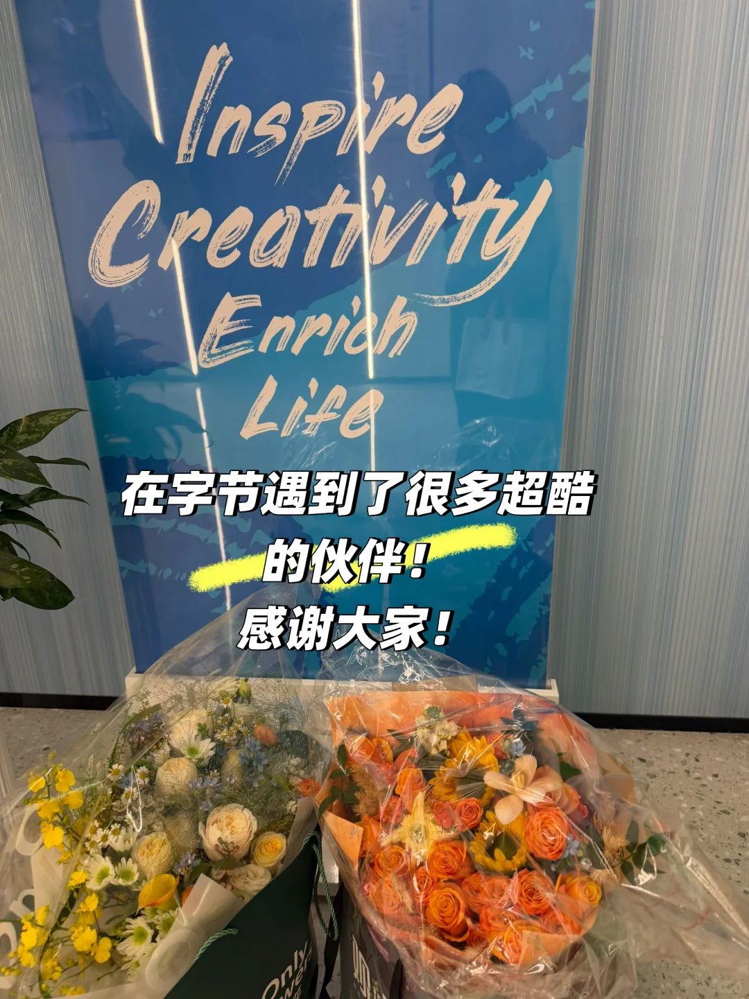 左滑👈帮38岁字节女工跳槽新公司｜我离职啦