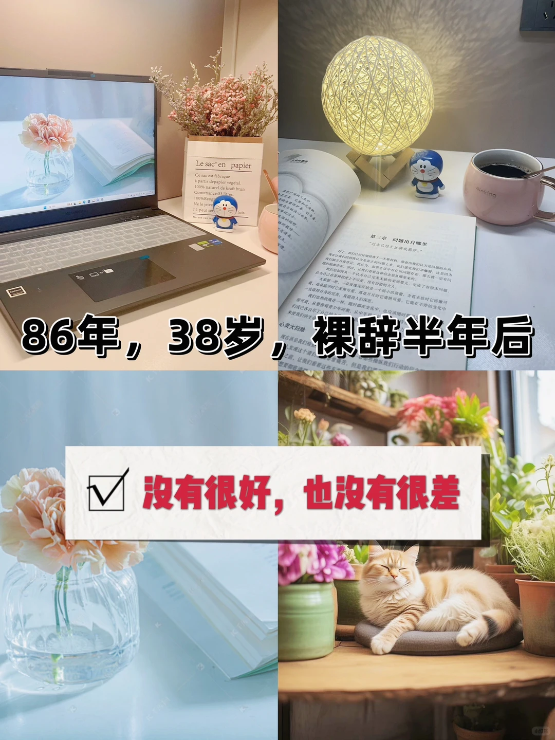 86年｜裸辞半年｜没有很好也没有很差